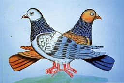 Image of birds signifies the flocking together of people. What does 'desi community' mean? Is there such a thing as a desi connection asks Monica Marwah in her post 'Sex and the Single Desi' on Lassi with Lavina