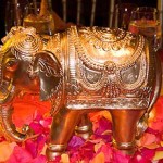 Indian decor brought Bollywood to Stamford at Red Ribbon's Bollywood Gala